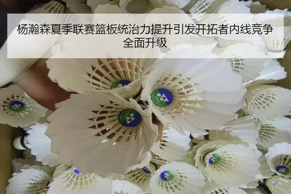 杨瀚森夏季联赛篮板统治力提升引发开拓者内线竞争全面升级